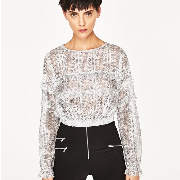 Zara Tops - NWT Zara Gray Sheer Lace Crop Top with Frills